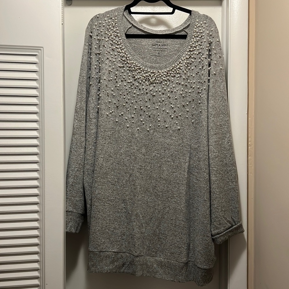 LAST CHANCE Torrid super soft plush embellished sweater